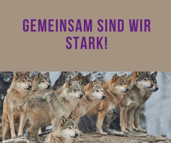Gemeinsam sind wir stark! (1)