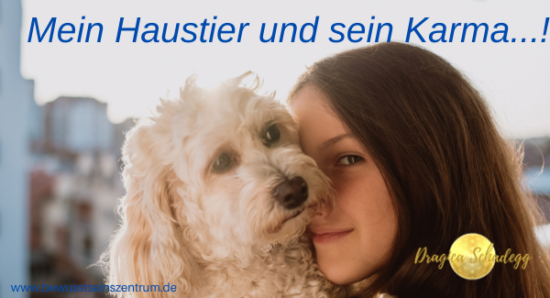 Blog – Mein Haustier und sein Karma!